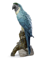 Macaw Bird Sculpture